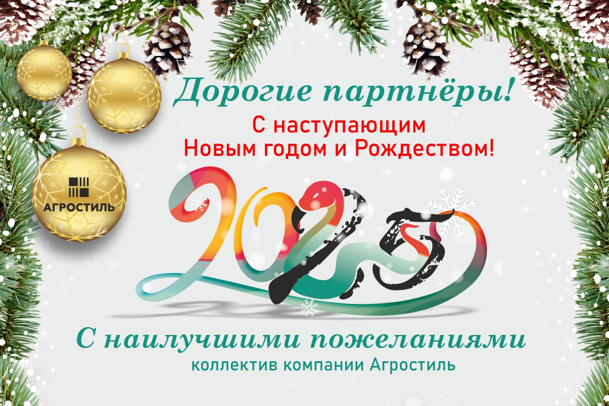 С  наступающим Новым годом и Рождеством!